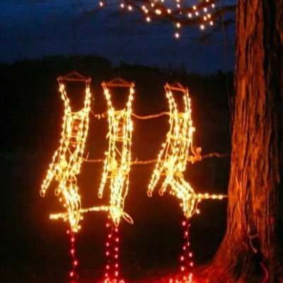 phil62147's profile picture. 