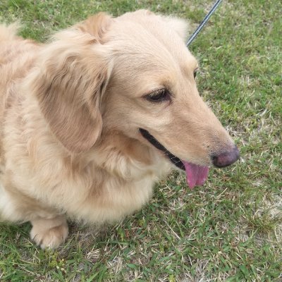 reigann_'s profile picture. 憑依装着とBF研究