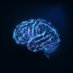 Mind Gains (@mindgains) Twitter profile photo Mind Gains (@mindgains) Twitter profile photo
