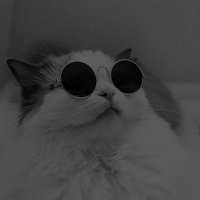 Smartfav🖤🤍🖤 (@_smartfav) 's Twitter Profile
