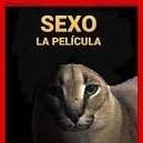 lisandro80238's profile picture. 