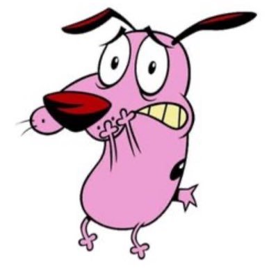 SonBond's profile picture. capital preservation! generalist