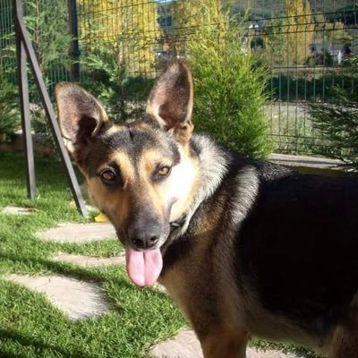 mischa_fn's profile picture. 15y | 🇪🇸 | F/A | Contact: DM 📥
