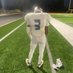 Jakobe “Octavian” palmer (@lockdownkobe) Twitter profile photo Jakobe “Octavian” palmer (@lockdownkobe) Twitter profile photo