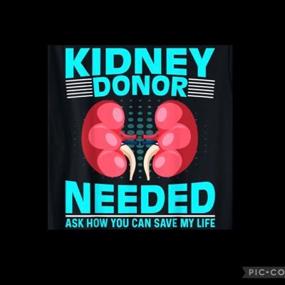 MAGAMamaChicken's profile picture. American Brit, lineman wife & mom, crazy human, dog & chicken momma, gardener, pro-life, MAGA, dragon-believer, MTG player. #TrumptoSaveAmerica ❤️🇺🇸❤️