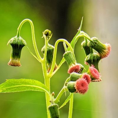 setiawanjoko82's profile picture. 