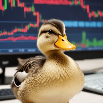 Duckyoski's profile picture. BA Hons. Finance First Year