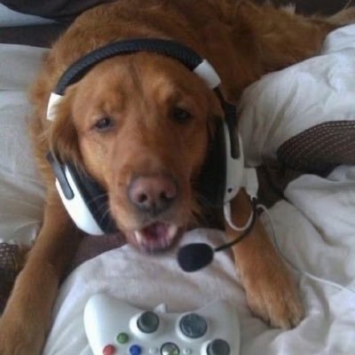 HashandLean's profile picture. Mud & Melts @palmtreesorgani rep