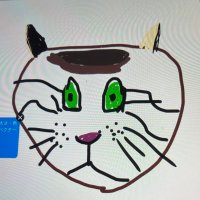 きじとら (@kijitora_tanuki) 's Twitter Profile Photo