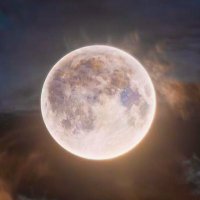 💭 (@moonchild82789) 's Twitter Profile Photo