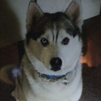 Martin (@exposing_myth) 's Twitter Profile