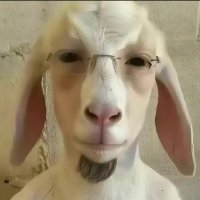 Condré 3000 (@99fordfocus) 's Twitter Profile Photo Condré 3000 (@99fordfocus) 's Twitter Profile Photo