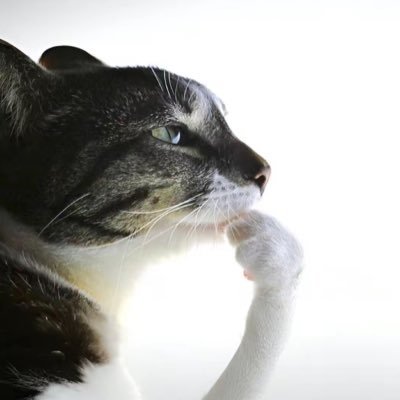 IIMXTRII's profile picture. Twitch-IIMXTRIII
YOUTUBE-IIMXTRIII