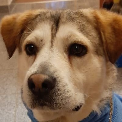 Noahさんのプロフィール画像