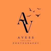 AVESS (@avesshoot) 's Twitter Profile