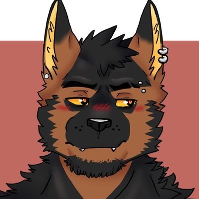 SnowWuffさんのプロフィール画像