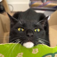Lee Trent (@trentmlc) 's Twitter Profile
