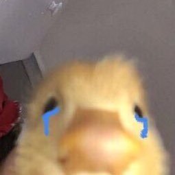 arloandspot's profile picture. for once in my life, let me get what i want…. lord knows it would be the first time 🧎🏻‍♀️