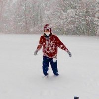 札幌に移住しただんごむし (@dangomushi_hkd) 's Twitter Profile Photo 札幌に移住しただんごむし (@dangomushi_hkd) 's Twitter Profile Photo