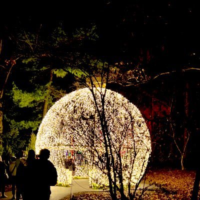 enJOYcement's profile picture. Nah