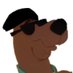 Drew (@tehscoobydrew) Twitter profile photo Drew (@tehscoobydrew) Twitter profile photo