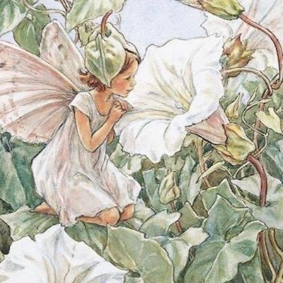 Fairy5failure's profile picture. 