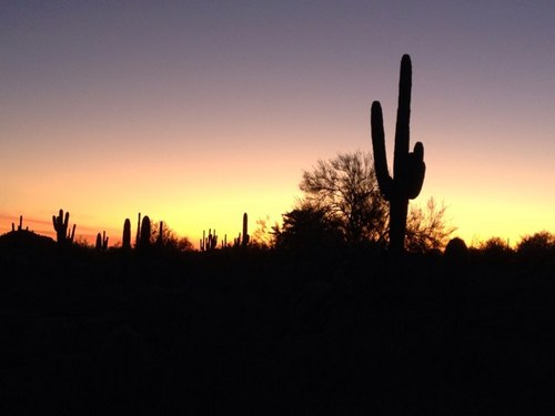 EastValleyGuide's profile picture. Providing on the go information about the East Valley.