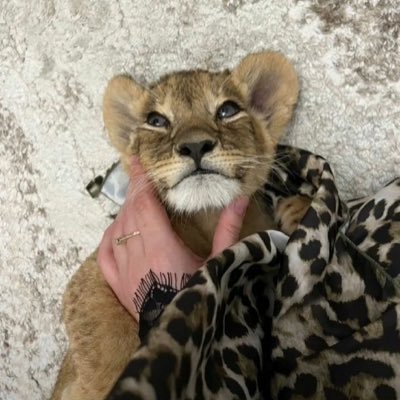 مافي اي دوافع للاستمراريه بس مستمره .