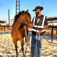 MOAYAD (@moayadali17) 's Twitter Profile