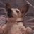 Cathy87374712's profile image