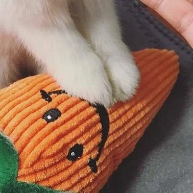 just_bbu2's profile picture. 역전재판123456 / 쿄오도쿄+후기 위주 /キョオドキョ / klapollo / 20↑ / #걍부_이야기책 /