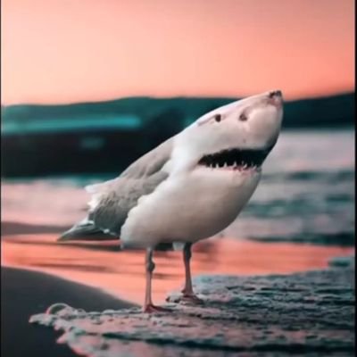 Nehrio1108961's profile picture. 