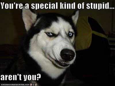 DougGibson4's profile picture. I am a Criminal Investigator, with a wife and two sons at home, and a menagerie of critters.  I have weird way of looking a the world.  I am really into Disney