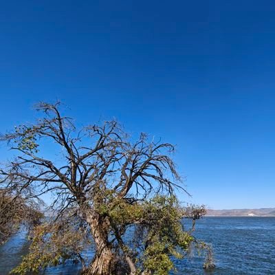 peterwan001's profile picture. 