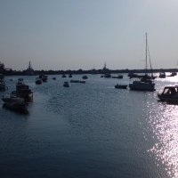 Ardyber44 (@ardayber44) 's Twitter Profile