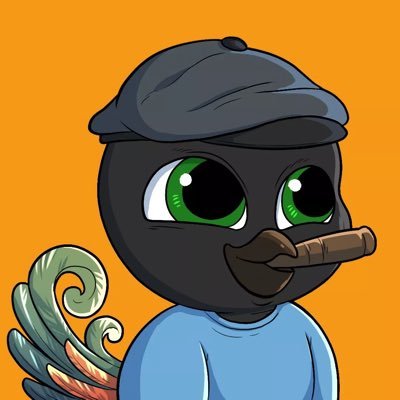 L0irinn's profile picture. Crypto enthusiast / Designer at @PBrasilNFT