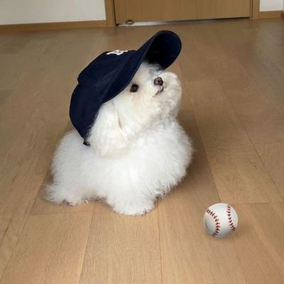 ranzigor's profile picture. random acc