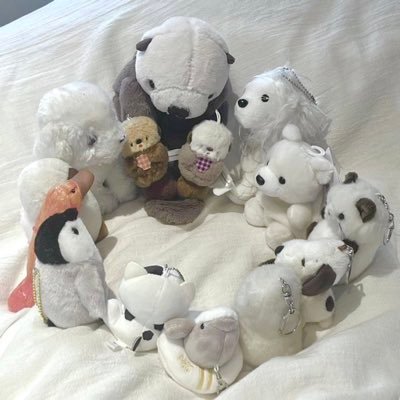 ☆彡.。黒髪 の ボブ 🍥 思い出⇨ #らむにはなまる ୨୧ ぬいぐるみ にたくさん ♡ してます、いのち・・・