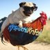 HySPdCHiKnFeeD 🐓🌽🚛 (@hyspdchiknfeed2) Twitter profile photo HySPdCHiKnFeeD 🐓🌽🚛 (@hyspdchiknfeed2) Twitter profile photo