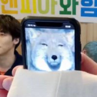 すんすんすん🌛🧀 (@seungjdon) Twitter profile photo