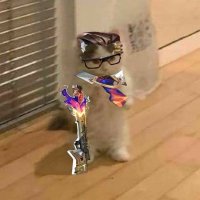 Loki (@lokiiilol1) 's Twitter Profile Photo Loki (@lokiiilol1) 's Twitter Profile Photo