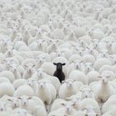 Bailey Benson - @bensonboy06 - Twitter