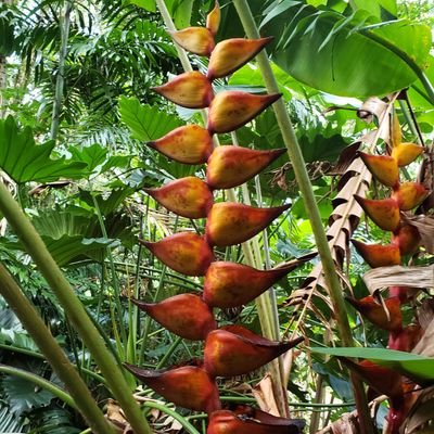 DS75426469's profile picture. 