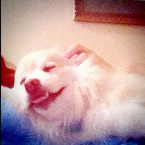 1bipolartweeter's profile picture. 