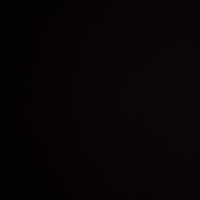 veilingecho's profile picture. 