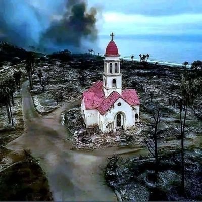 QibboN's profile picture. 