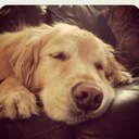 tammy COATNEY - @tcoat269 - Twitter