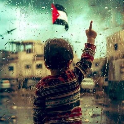 My Official Twitter Handle.🇵🇸🇧🇩.{When I'm in the battlefield, I love it more then my wedding night with the most beautiful of women.
Khalid Bin Walid (R.A)}