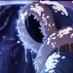 TheWinterReaper (@thwinterreaper) Twitter profile photo TheWinterReaper (@thwinterreaper) Twitter profile photo
