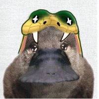 さ と り (@esuenuesukowai) 's Twitter Profile Photo さ と り (@esuenuesukowai) 's Twitter Profile Photo